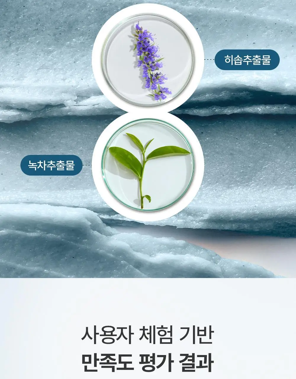 [피지각질 매끈피부] 아렌시아 떡솝 프레시 로얄 블루 히솝 클렌저 120g 상세페이지 8